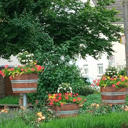 Lägenhet Naehe Bahnhof Und Europa-park Ringsheim
